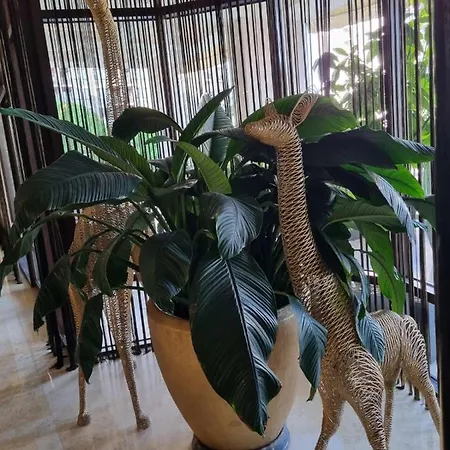 Private Sea- G Apartmán Sluneční pobřeží